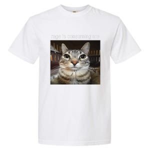 Rage Is Consuming Me Silly Staring Cat Meme Gift Garment-Dyed Heavyweight T-Shirt