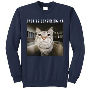 Rage Is Consuming Me Cat Meme Silly Kitten Cat Funny Meme Sweatshirt