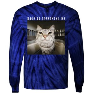 Rage Is Consuming Me Cat Meme Silly Kitten Cat Funny Meme Tie-Dye Long Sleeve Shirt