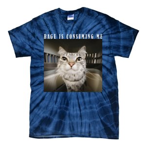 Rage Is Consuming Me Cat Meme Silly Kitten Cat Funny Meme Tie-Dye T-Shirt