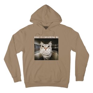 Rage Is Consuming Me Cat Meme Silly Kitten Cat Funny Meme Hoodie