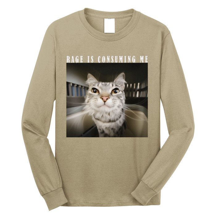 Rage Is Consuming Me Cat Meme Silly Kitten Cat Funny Meme Long Sleeve Shirt