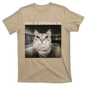 Rage Is Consuming Me Cat Meme Silly Kitten Cat Funny Meme T-Shirt