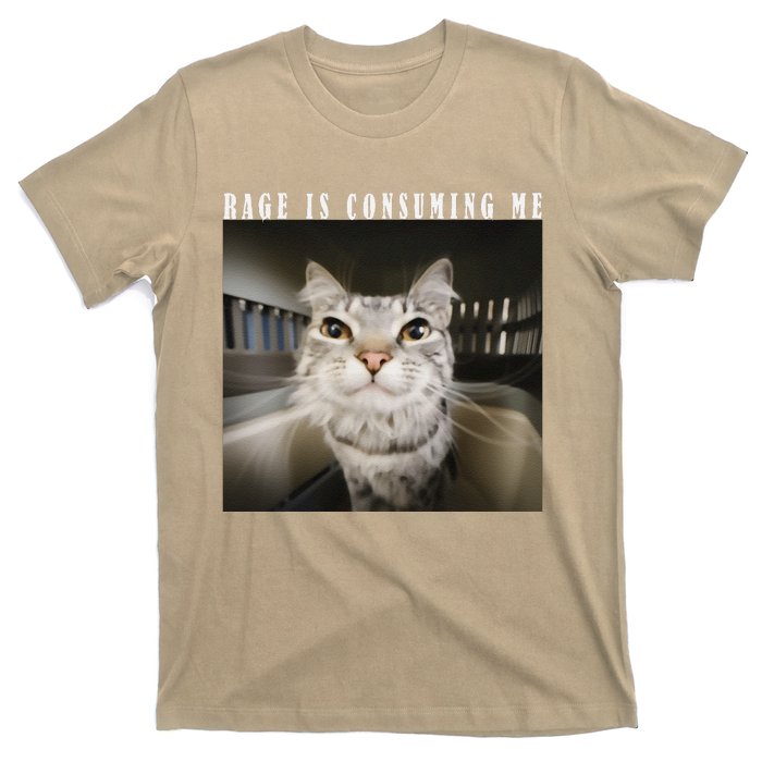 Rage Is Consuming Me Cat Meme Silly Kitten Cat Funny Meme T-Shirt