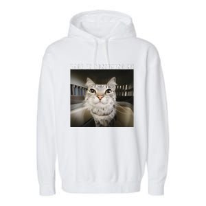 Rage Is Consuming Me Cat Meme Silly Kitten Cat Funny Meme Garment-Dyed Fleece Hoodie