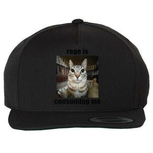 Rage Is Consuming Me Funny Silly Staring Cat Meme Oddly Joke Wool Snapback Cap