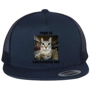 Rage Is Consuming Me Funny Silly Staring Cat Meme Oddly Joke Flat Bill Trucker Hat