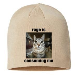 Rage Is Consuming Me Funny Silly Staring Cat Meme Oddly Joke Sustainable Beanie