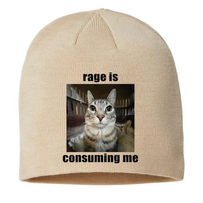 Rage Is Consuming Me Funny Silly Staring Cat Meme Oddly Joke Sustainable Beanie