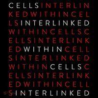 Replicant Interlinked Cells Baseline Performance Long Sleeve Polo