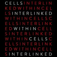 Replicant Interlinked Cells Baseline Sustainable Knit Beanie