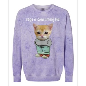 Rage Is Consuming Me Silly Cat Meme Colorblast Crewneck Sweatshirt