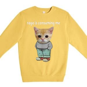 Rage Is Consuming Me Silly Cat Meme Premium Crewneck Sweatshirt