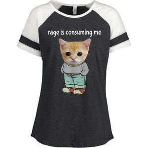 Rage Is Consuming Me Silly Cat Meme Enza Ladies Jersey Colorblock Tee