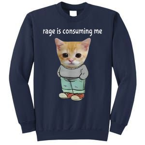 Rage Is Consuming Me Silly Cat Meme Sweatshirt