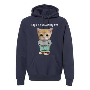 Rage Is Consuming Me Silly Cat Meme Premium Hoodie