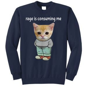 Rage Is Consuming Me Silly Cat Meme Tall Sweatshirt