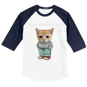 Rage Is Consuming Me Silly Cat Meme Baseball Sleeve Shirt