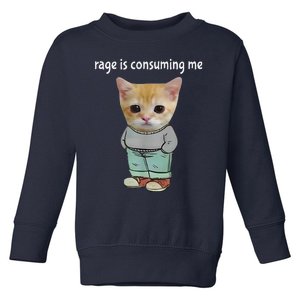 Rage Is Consuming Me Silly Cat Meme Toddler Sweatshirt