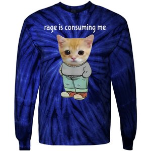 Rage Is Consuming Me Silly Cat Meme Tie-Dye Long Sleeve Shirt