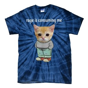 Rage Is Consuming Me Silly Cat Meme Tie-Dye T-Shirt