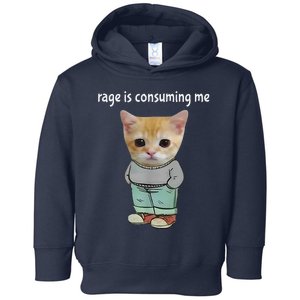 Rage Is Consuming Me Silly Cat Meme Toddler Hoodie