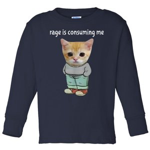 Rage Is Consuming Me Silly Cat Meme Toddler Long Sleeve Shirt