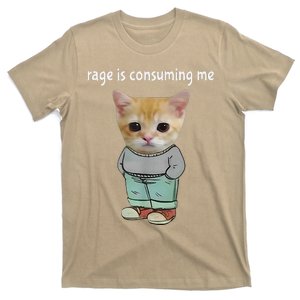 Rage Is Consuming Me Silly Cat Meme T-Shirt