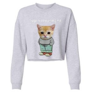 Rage Is Consuming Me Silly Cat Meme Cropped Pullover Crew