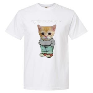 Rage Is Consuming Me Silly Cat Meme Garment-Dyed Heavyweight T-Shirt