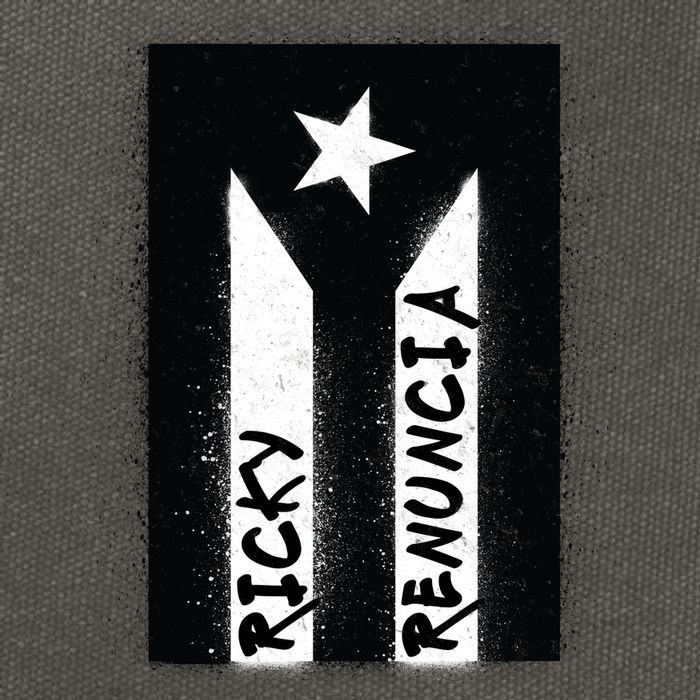 Ricky Renuncia Puerto Rico Flag Cotton Canvas Backpack