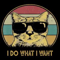 Retro I Do What I Want Cat Funny Cat Lover T-Shirt