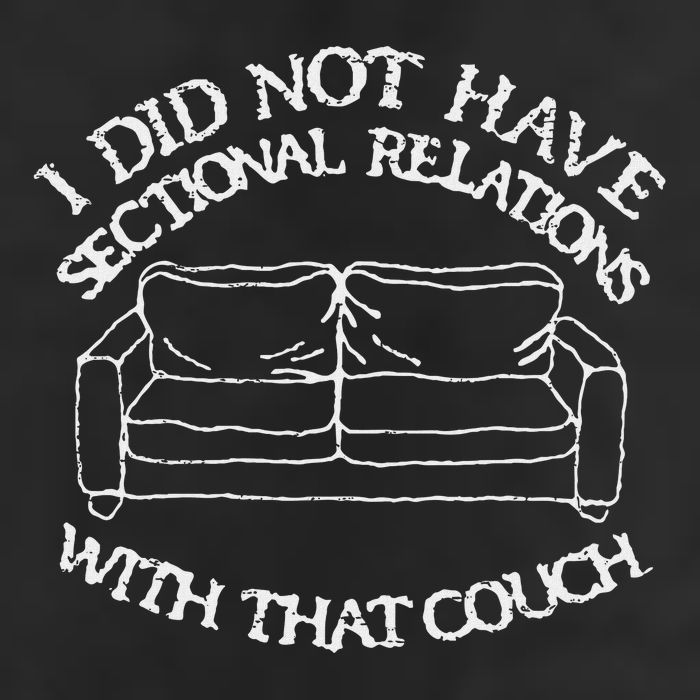 Retro I Did Not Have Sectional Relations With That Couch Knit Cap Winter Beanie