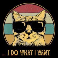 Retro I Do What I Want Cat 7-Panel Snapback Hat