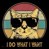 Retro I Do What I Want Cat Funny Cat Lover Flexfit Unipanel Trucker Cap