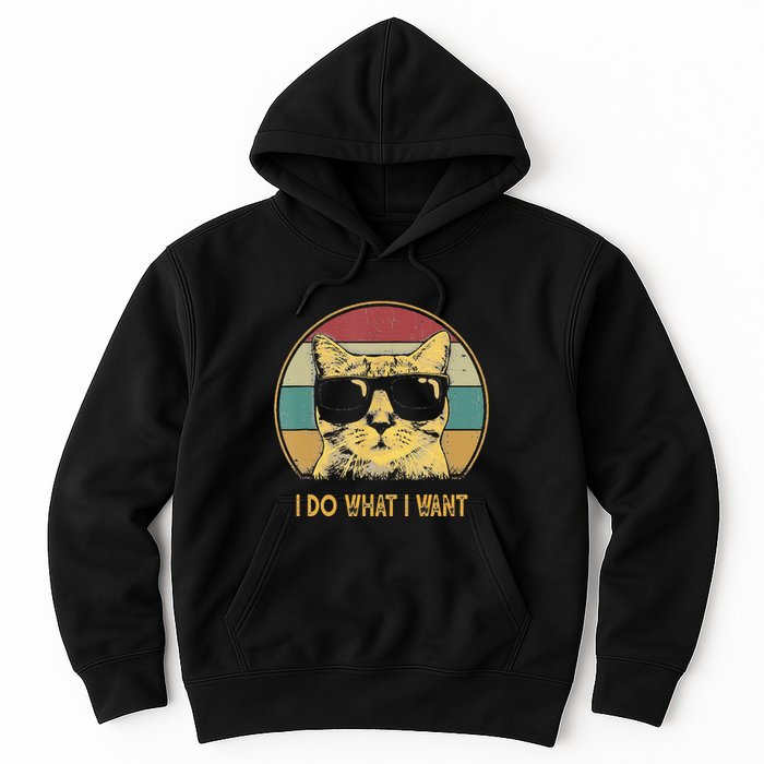 Retro I Do What I Want Cat Funny Cat Lover Hoodie