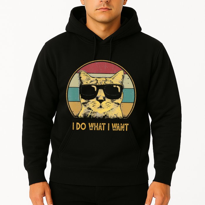 Retro I Do What I Want Cat Funny Cat Lover Hoodie
