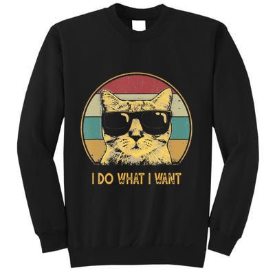 Retro I Do What I Want Cat Funny Cat Lover Sweatshirt