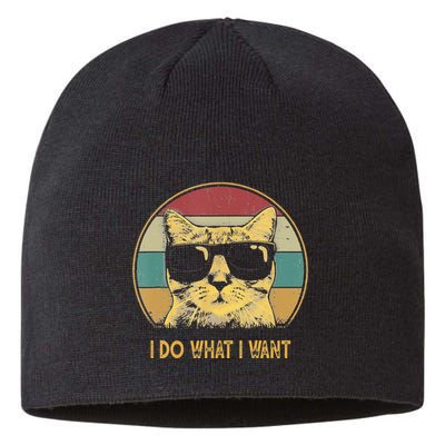 Retro I Do What I Want Cat Funny Cat Lover Sustainable Beanie