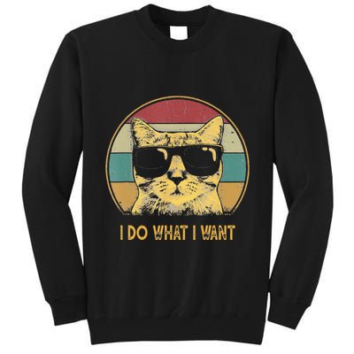 Retro I Do What I Want Cat Funny Cat Lover Tall Sweatshirt