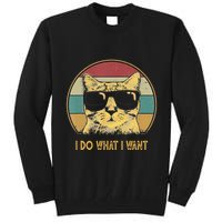 Retro I Do What I Want Cat Funny Cat Lover Tall Sweatshirt