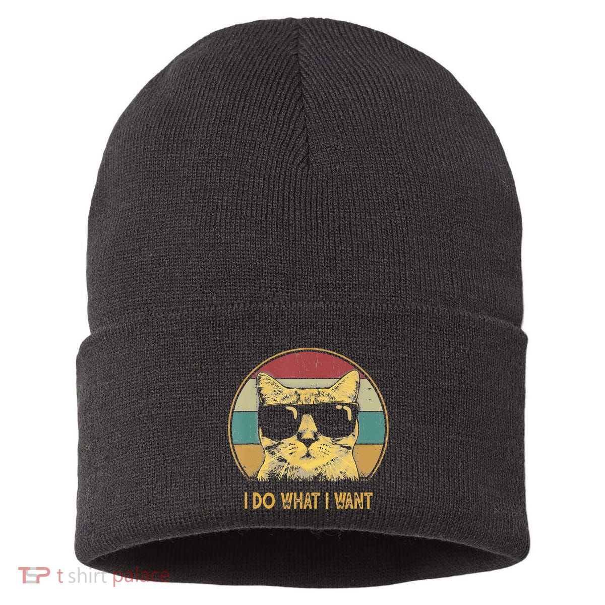 Retro I Do What I Want Cat Funny Cat Lover Sustainable Knit Beanie