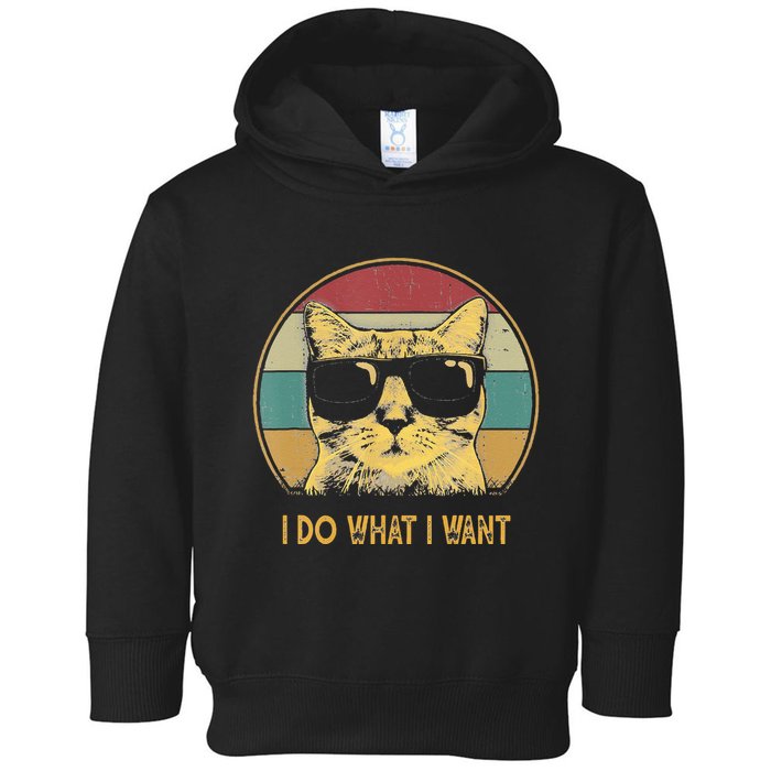 Retro I Do What I Want Cat Funny Cat Lover Toddler Hoodie