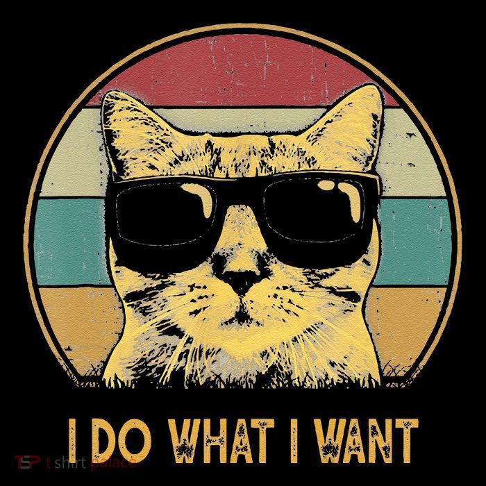 Retro I Do What I Want Cat Funny Cat Lover Womens T-Shirt