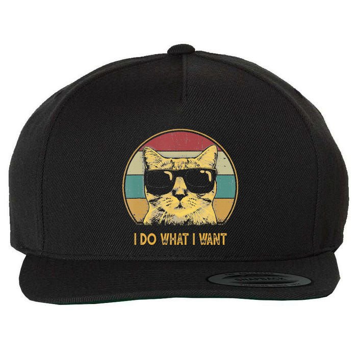 Retro I Do What I Want Cat Funny Cat Lover Wool Snapback Cap