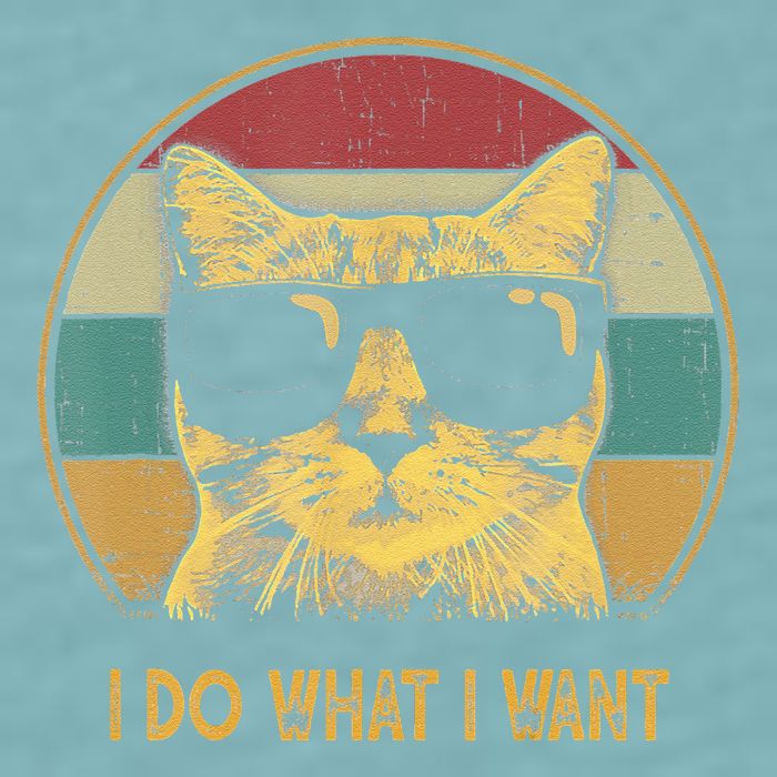 Retro I Do What I Want Cat Funny Cat Lover Sueded Cloud Jersey T-Shirt