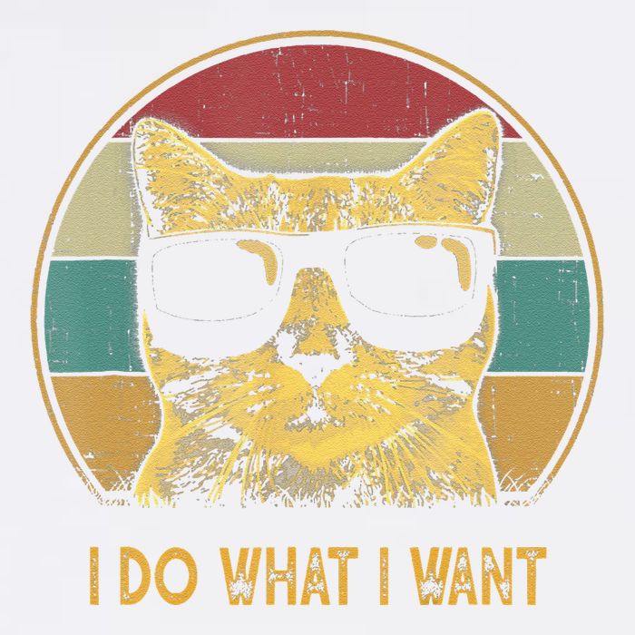 Retro I Do What I Want Cat Funny Cat Lover Garment-Dyed Sweatshirt