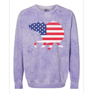 Rat Independence Day Patriotic Usa Flag 4th Of July Gift Colorblast Crewneck Sweatshirt