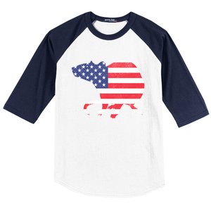 Rat Independence Day Patriotic Usa Flag 4th Of July Gift Baseball Sleeve Shirt