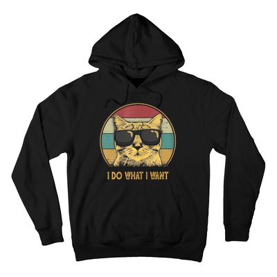 Retro I Do What I Want Cat Funny Cat Lover Hoodie